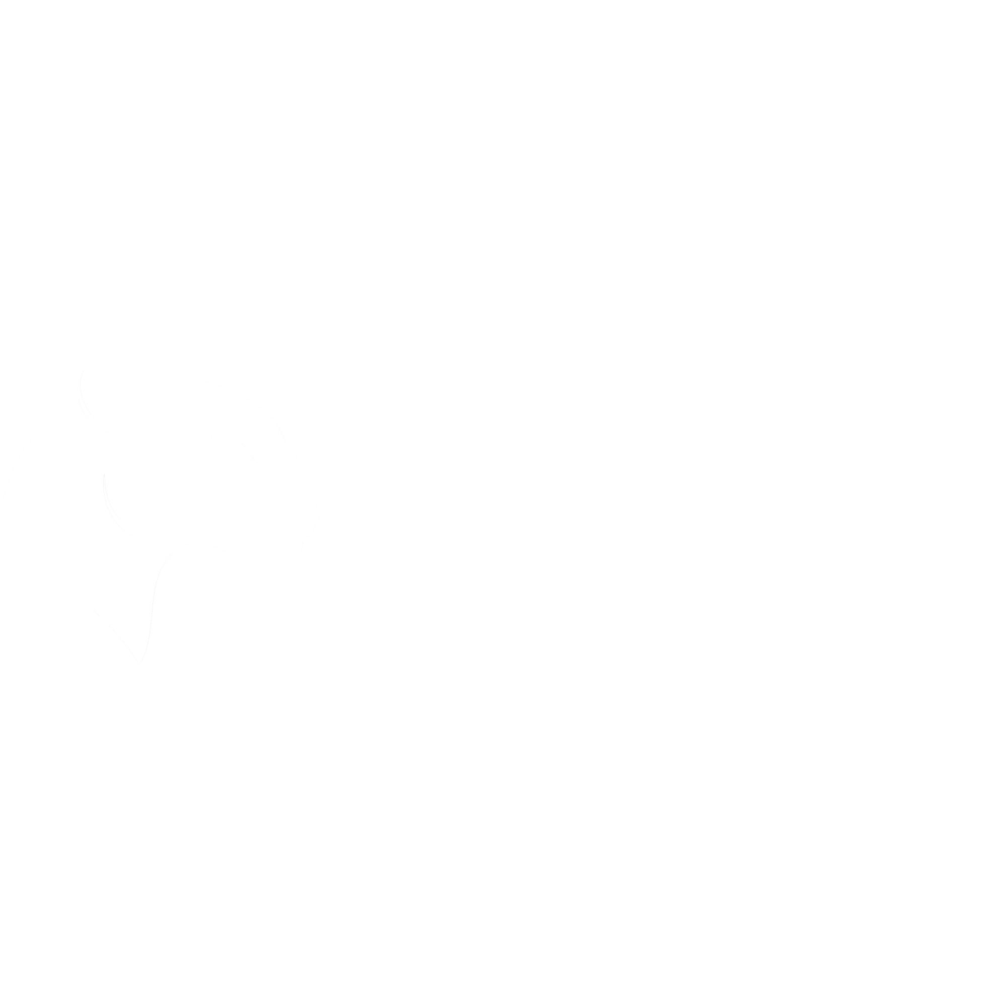 ROXX Signature